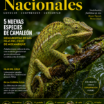 Nuevas evidencias reescriben la historia del origen de los vertebrados terrestres