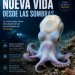 Descubren sofisticada tecnología para su tiempo del Imperio Sasánida