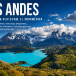 Las últimas viajeras del cielo: aves migratorias al borde de la extinción