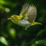 Mamíferos con alas y anfibios bajo la lluvia: cinco nuevas especies emergen desde selvas olvidadas y montañas ocultas