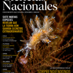 Las alas que pueden oler: el sorprendente olfato oculto de la polilla esfinge